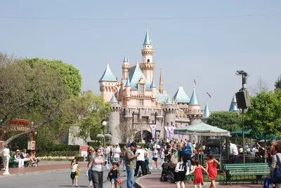 DSC_0012.jpg