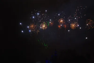 DSC_0232.jpg